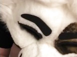 Fursuit Footjob