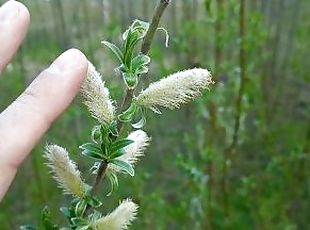 ?ute tree buds