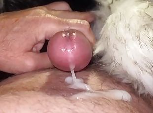 masturbare-masturbation, batran, amatori, matura, jet-de-sperma, cuplu, tanar18, sperma, mai-batran, fetish