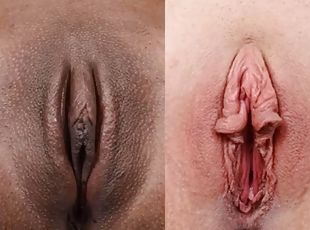 pussy, vintage, compilation