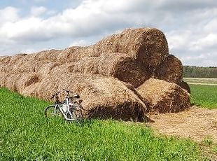 laukas, viešumoje, mėgėjai, mažulės, čiulpimas, mama, bbw, nuleidimas, čiulpimas-sucking