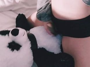 Riding Pandy teddy bar very fast with satisfyer group masturbation humping pillow in panties