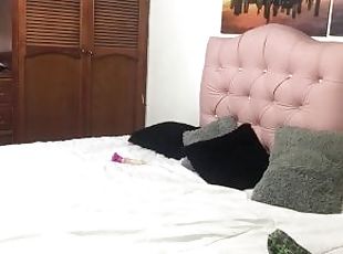 culo, masturbación, orgasmo, squirting, babes, madurita-caliente, adolescente, juguete, latino, cachonda