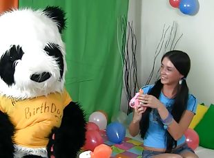 Pigtailed beauty teen is fucking with hardcore panda