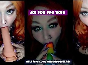 JOI FOR FAG BOIS THE VIDEO