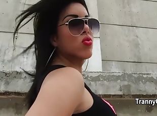 cul, masturbation, transsexuelle, fellation, hardcore, latina, butin