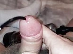 amateur, jouet, solo, néerlandais, insertion