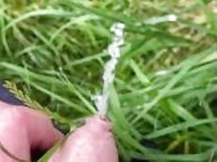 Close up piss of foreskin cock - making sure the grass is wet is im...