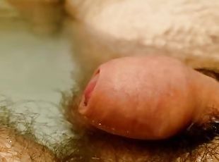 Close up of tiny dick pulsing while relaxing in water while tacking...