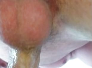 cul, grosse, orgasme, chatte-pussy, amateur, énorme-bite, couple, belle-femme-ronde, point-de-vue, humide