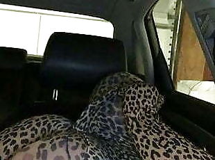 Leopard Encasement in Car
