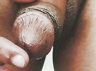 Wild dick close up