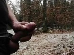 masturbation, public, giclée, amateur, branlette, secousses, solo, forêt