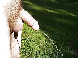 en-plein-air, pisser, public, amateur, gay, point-de-vue