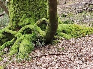 udendørs, tissende, amatør, solo, skov