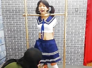 asiático, japonés, sadomasoquismo, bondage