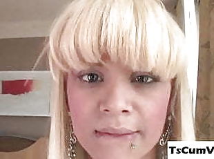 transsexuelle, anal, travesti, solo