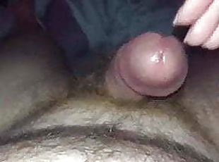 FRENULUM