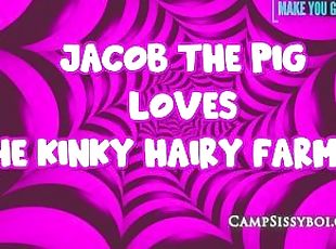 Jacob the pig loves the kinky hairy farmers