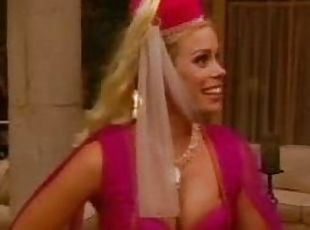 Cheryl Hines Dressed Up Like a Genie