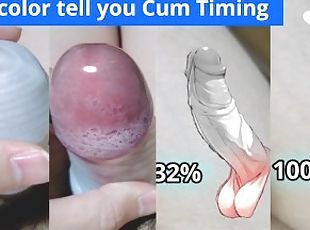 asiatisk, masturbation, orgasm, cumshot, avrunkning, samling, creampie, sprut, hentai, ensam