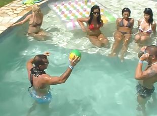 orgie, allaperto, hardcore, sesso-di-gruppo, sgualdrine, piscina, bikini