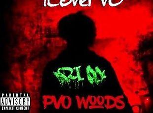 ILovePvO - PvO Woods 13