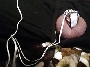 My tiny spun penis in chastity cage an electric shock torture for h...