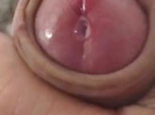 masturbare-masturbation, amatori, sperma, solo