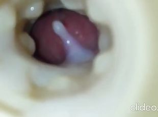 amatir, cumshot-keluarnya-sperma, homo, sperma, vagina-vagina, seorang-diri, penis