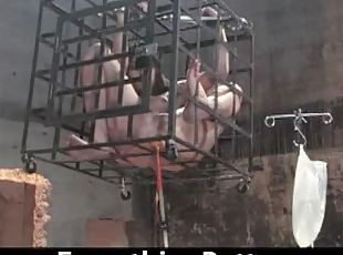 She Gets out of the Cage to get Fucked