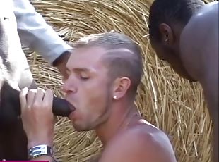 orgie, en-plein-air, amateur, fellation, ébène, interracial, hardcore, gay, black, française