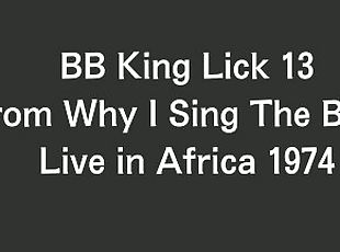 B.B. King Blues Guitar Lick 13 From Why I Sing The Blues Live in Af...
