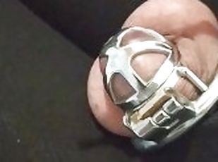 Chastity cage