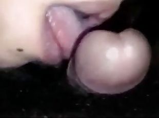 Amateur, blowjobs, hentai, japanese