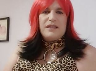 transsexuelle, amateur, vintage, belle-femme-ronde, rétro, lingerie, webcam, mignonne, bout-a-bout, solo