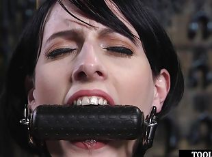 hårete, orgasme, babes, leke, bdsm, kveling, bondage, dominans, sybian