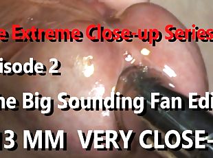 The Extreme Close-up Series 2023 - 13MM ULTRA CLOSE UP - The Uncut ...