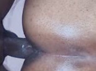 culo, cuatro-patas, amateur, anal, maduro, negra-ebony, negra, regordeta