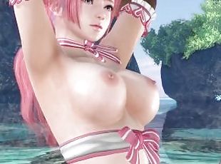 Dead or Alive Xtreme Venus Vacation Fiona Eyes on Me Maid Outfit Nu...