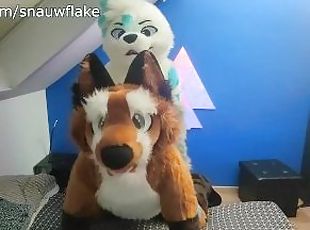 Matthew Fox is fucked bareback by Snauwflake the Seal ( Furry / Fur...