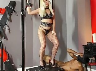 babes, hardcore, bdsm, esclave, blonde, résille, bondage, femme-dominatrice