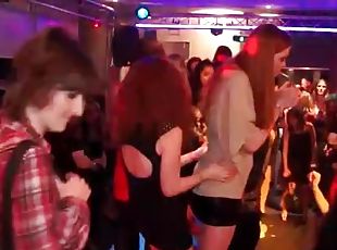 fête, babes, baisers, danse, sexe-habillé, club