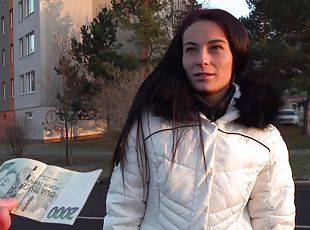 Czech babe picked up and paid for sex