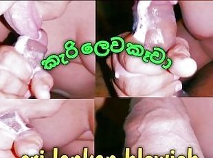 Asian blowjob ,sri lankan new chubby ,???? ?????? ??? ????? ????? ?...