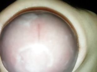 Close-up cumshot out of glans inside a transparent tenga egg
