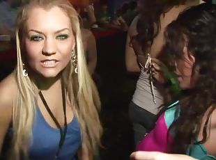 A few kinky chicks flash their twats and tits in a club