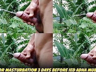 INDONESIAN DICK - Outdoor Masturbation 3 Days Before Eid al-Adha 2023