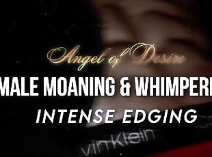 INTENSE EDGING & ORGASM  Male moaning & whimpering ASMR