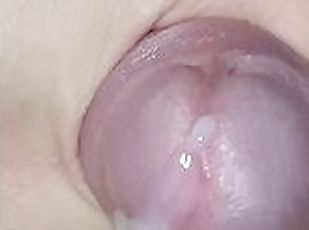 cul, masturbation, giclée, amateur, ejaculation-sur-le-corps, énorme-bite, branlette, collège, solo, bite